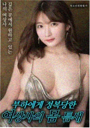 日本上映资讯